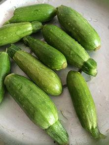 迷你小瓜可以吃吗,美味可口的健康零食探索