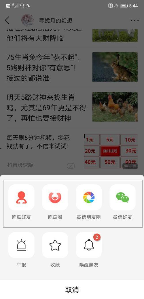 吃瓜网会员,独家内容，畅享娱乐盛宴