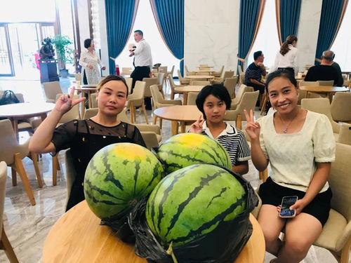 龙口东城吃瓜事件,一场引发热议的社区冲突纪实