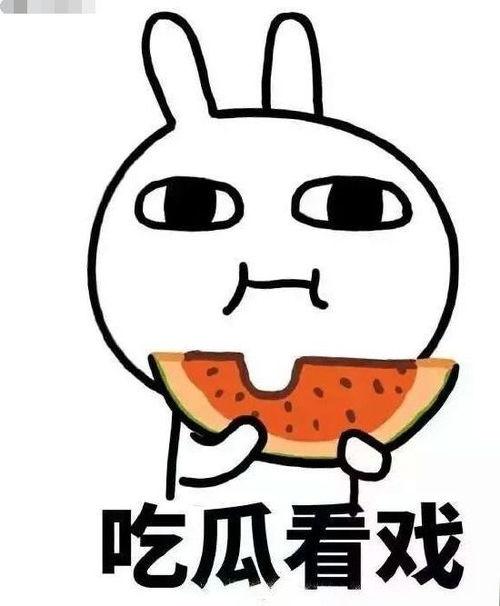 吃瓜冲,揭秘娱乐圈背后的秘密与真相