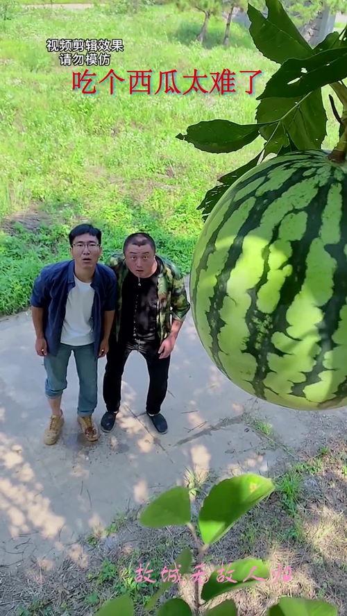 山水吃瓜群众,揭秘隐秘角落的趣味生活