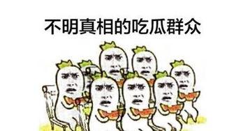 吃瓜群众代表组合,揭秘娱乐圈幕后风云