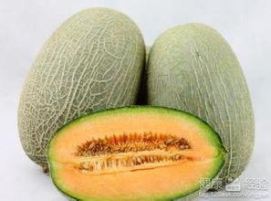 嗓子吃哈密瓜,哈密瓜来解忧——探寻天然润嗓美食之旅