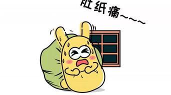 吃瓜群众的专属瓜