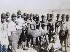 鬼子让农民吃瓜,鬼子逼农民吃瓜的残酷真相