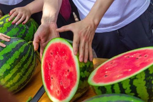 大学吃瓜贵阳,揭秘大学校园里的贵阳美食风云录
