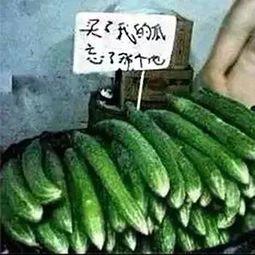 吃瓜忘了种瓜人,人生哲理的反思与启示