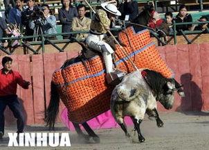 西班牙斗牛吃瓜视频,揭秘西班牙斗牛吃瓜背后的故事