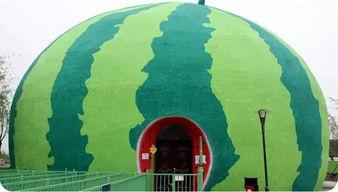 欢乐世界吃瓜,揭秘幕后故事与趣味瞬间