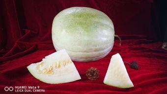 三白瓜化了可以吃,美味佳肴待品尝