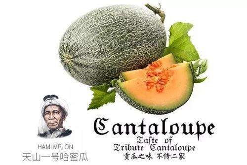 日常吃瓜推荐校园,揭秘校园热点事件背后的真相