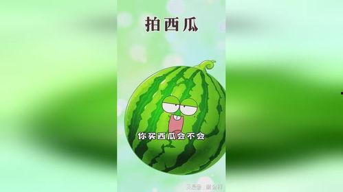 职业吃瓜大师是谁,揭秘娱乐圈幕后风云的神秘人物